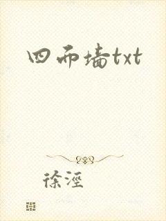 四面墙txt