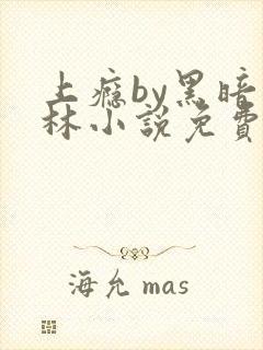 上瘾by黑暗森林小说免费封面