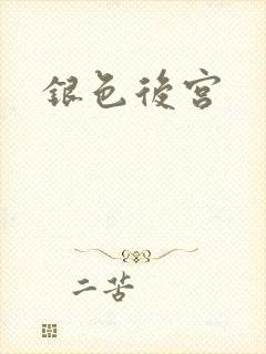 银色后宫
