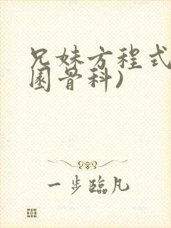 兄妹方程式(校园骨科)封面