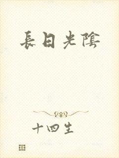 长日光阴封面