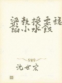 梁教授要稳住肉馅小水饺封面