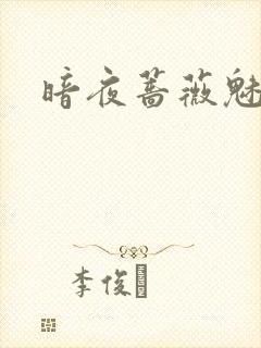 暗夜蔷薇魅封面