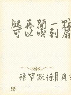 腿再开一点我就可以吃到扇贝了封面