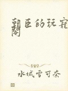 朝臣的玩宠笔趣阁