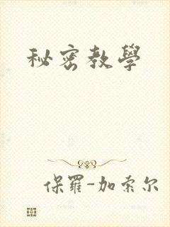 秘密教学