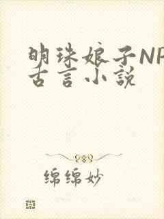 明珠娘子NPC古言小说