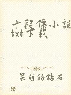 十段锦小说全本txt下载