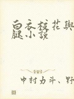 白衣校花与大长腿小说封面