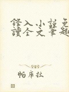 锋入小说免费阅读全文笔趣阁