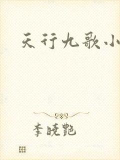 天行九歌小说
