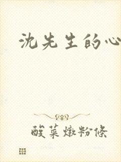 沈先生的心头宝