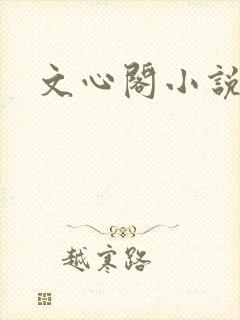 文心阁小说封面