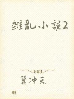 杂乱小说2