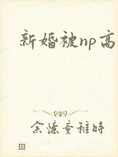 新婚被np高h封面