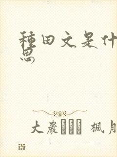 种田文是什么意思