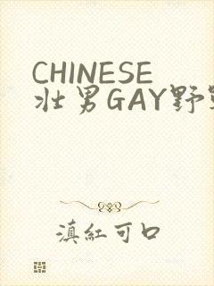 CHINESE壮男GAY野战强迫TUBE封面
