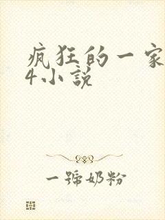 疯狂的一家ps4小说
