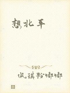 想北平封面