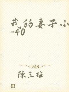 我的妻子小谨1-40