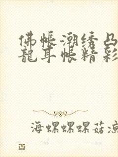 佛帐潮绣凸浮双龙耳帐精彩片段封面