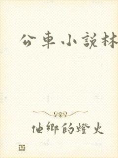 公车小说林蔓蔓封面