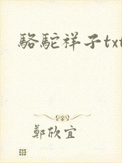 骆驼祥子txt封面