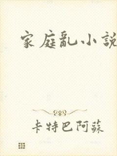 家庭乱小说