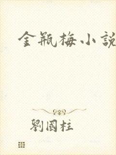 金瓶梅小说在线