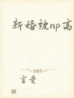 新婚被np高h