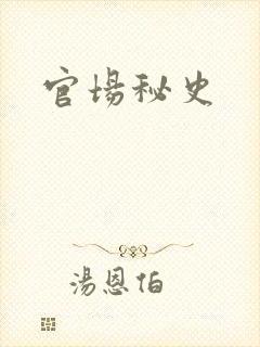 官场秘史