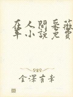 在人间采薇陆三平小说免费阅读