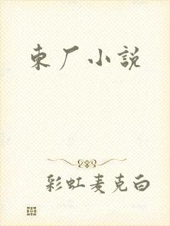 东厂小说封面