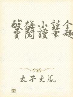 酸梅小说全文免费阅读笔趣阁