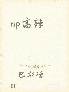 np高辣