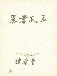 暴君风弄封面