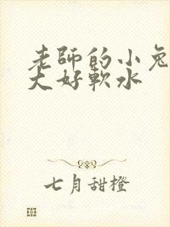 老师的小兔子好大好软水