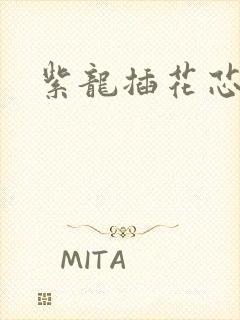 紫龙插花芯方正