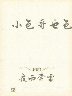 小色哥也色封面