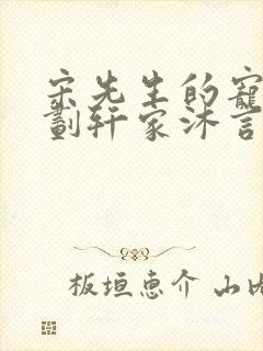 宋先生的宠妻计划轩家沐言