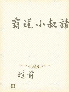 霸道小叔请轻撩封面