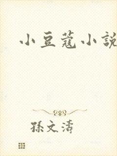 小豆蔻小说