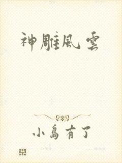 神雕风云