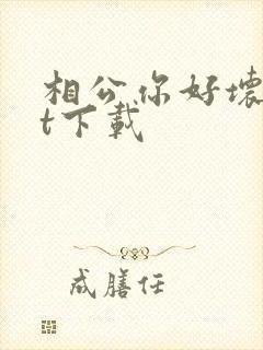 相公你好坏txt下载