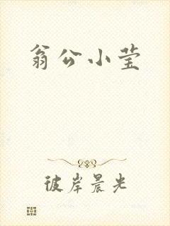 翁公小莹