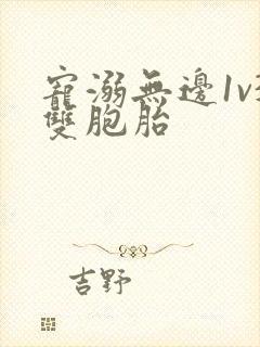 宠溺无边1v3双胞胎封面