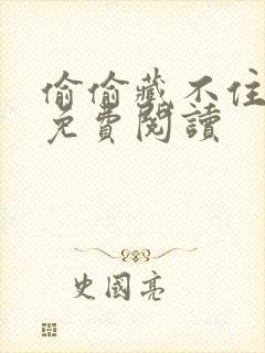 偷偷藏不住小说免费阅读