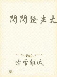 闪闪发光大团结封面