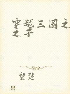 穿越三国之袁绍之子