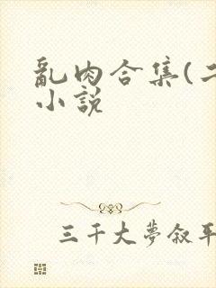 乱肉合集(二)小说封面